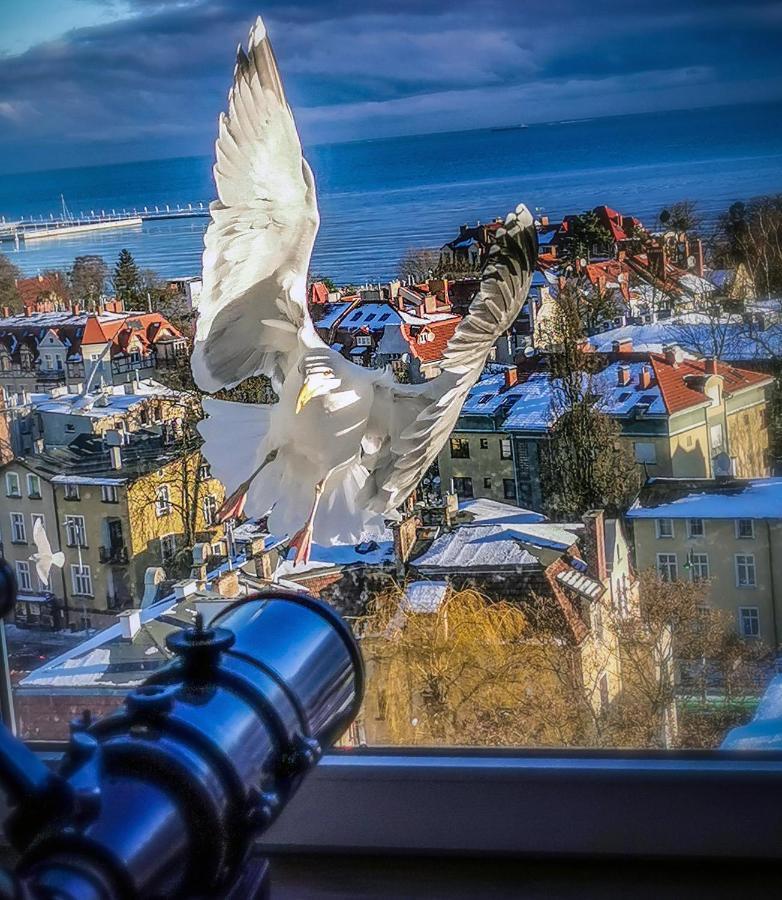 Pokoje Przy Plazy Z Widokiem Na Morze ソポト エクステリア 写真