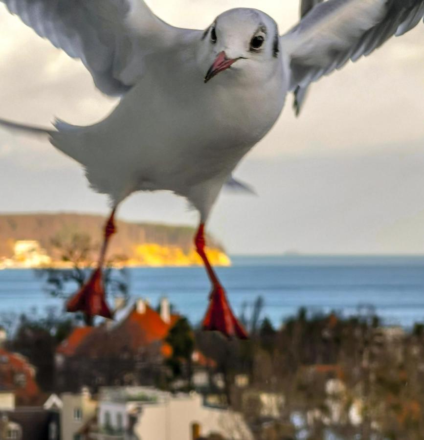 Pokoje Przy Plazy Z Widokiem Na Morze ソポト エクステリア 写真