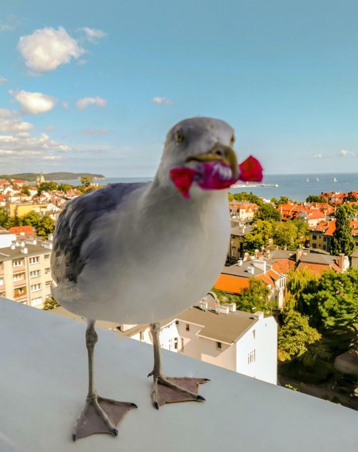 Pokoje Przy Plazy Z Widokiem Na Morze ソポト エクステリア 写真